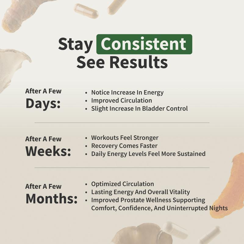 Ultimate Men's Health Bundle - Snap Supplements - Nitric Oxide Booster 60ct + Prostate Health Bundle - Natural Supplement Capsules - Support Blood Circulation & Prostate HealthBrand: Snap Supplements
Ingredient Feature: GMO Free, Vegan, Sugar Free, Soy Free, Gluten Free
 Dietary Needs: Vegan, Gluten-free, Vegetarian
Dangerous Goods or Hazardous Materials: None
Dietary Supplement Disclaimer: Yes
 Health Benefits: Prostate Support, Blood Pressure Control, Brain Health, Energy, Heart Health, Detoxing, Immune
Manufacturer: Snap Supplements
Age Warning: Yes
Ingredients: L-Citrulline, L-Arginine, Saw Palmetto
Region of Origin: USAML Clinic  for Wellness