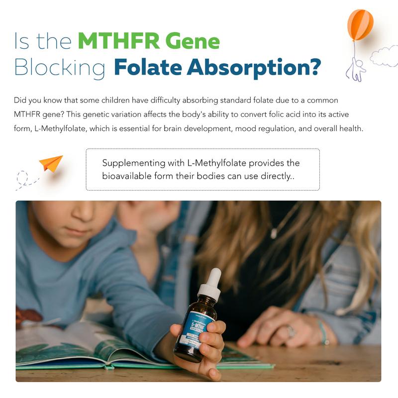 Triquetra Organic Kids Methylfolate + Methyl B12 Coenzyme - Organic Berry Flavor, Liquid Form 5-MTHF Form Adjustable Dosing; Supports Mood, Behavior, Cognition| Methy folate| 1-Methylfolate Healthcare FitnessBrand: Triquetra Health
Ingredient Feature: Organic, Gluten Free, GMO Free, Vegan, Sugar Free
Dietary Needs: Vegan, Gluten-free
Dangerous Goods or Hazardous Materials: None
Dietary Supplement Disclaimer: Yes
CA Prop 65: ReproChemicals: No
CA Prop 65: Carcinogens: No
Flavor: Berry
Age Group: Youth
Health Benefits: Brain Health, Heart Health
Recommended Age: 1+
Quantity Per Pack: 1
Volume: 1 fl oz
Pack Type: Single Item
Shelf Life: 24 Months
Product Form: Liquid
Manufacturer: Triquetra Health
Age Warning: No
Ingredients: Organic Vegetable Glycerin, Reverse Osmosis Water, Organic Berry Flavor (Organic Acacia Gum, Natural Flavors & Citric Acid)
Region of Origin: USAML Clinic  for Wellness