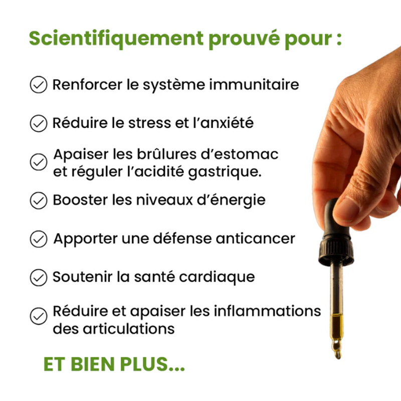 COROSSOL GRAVIOLA Thorny Fruit Anthurium Leaf TinctureLeaf TinctureBrand: Other
Brand Type: OEM
Whether to import: No
Item number: C-DJ-ESCA-H1
Efficacy: Other
Specifications: Sample
Fragrance type: Fruity
Color classification: 60ml (for foreign trade sales only, domestic sales prohibited, purchase equals default disclaimer)
Main downstream platforms: AliExpress, independent stations, others
Main sales regions: Africa, Europe, South America, Southeast Asia, North America, Northeast Asia, Middle East
Whether cross-border export exclusive supplier: Yes
Special Purpose Cosmetics: No
Category: Body Care Set
Product name: Lychee DropsLeaf TinctureML Clinic  for Wellness