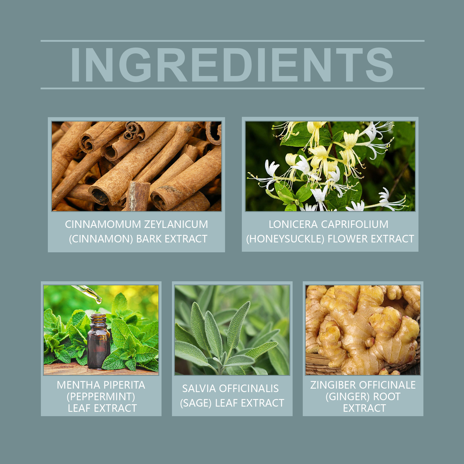 1 Month Body Care Patch Middle-aged and Elderly Body Relief Discomfort Gentle Maintenance Massage Body Care PatchNet content: 30 PIECES 
 
   Product name: Body care patch 
 
   Keywords: Body Care 
 
   Gross weight: 77.9g 
 
   Ingredients: Sage Leaf Extract, Cinnamon Bark Extract, Peppermint Leaf Extract 
 
   Packaging size: 12.5*9.5*3cm 
 
   Product size: 12*9cm 
 
   Box size: 56*36*21.5cm 
 
   Packing quantity: 60 pieces 
 
   Weight of one box: 5.43kg 
 
   Shelf life: 3 years 
 
   Storage method: Please store in a cool and shaded placeML Clinic  for Wellness