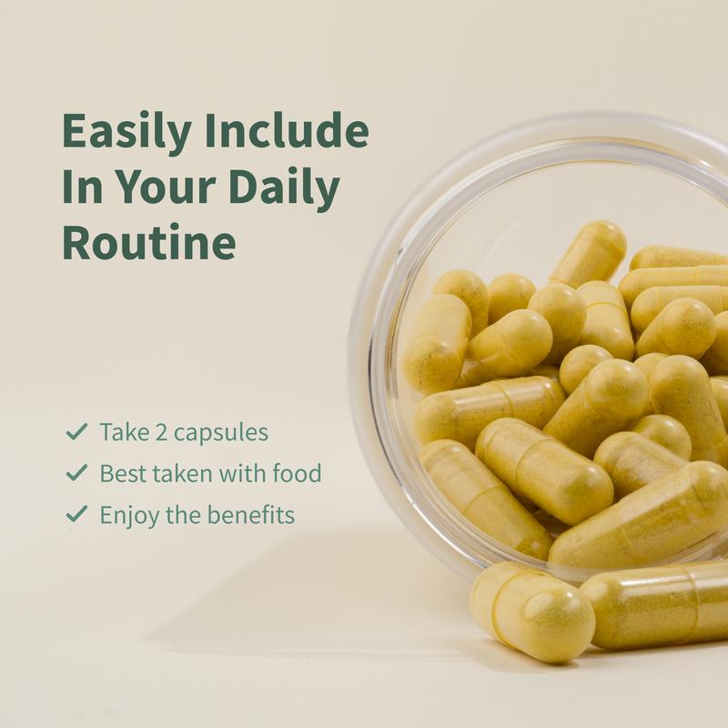 Snap Supplements - Cholesterol Health - Support Healthy Cholesterol Levels & Natural Heart Health - 3rd Party TestedBrand: Snap Supplements 
 
 Ingredient Feature: Gluten Free, GMO Free, Vegan, Soy Free, Sugar Free 
 
 Dietary Supplement Disclaimer: Yes 
 
 Age Group: Adults 
 
 Health Benefits: Cholesterol Management, Heart Health 
 
 Recommended Age: 18+ 
 
 Pack Type: Single Item 
 
 Shelf Life: 18 Months 
 
 Product Form: Capsules 
 
 Manufacturer: Snap Supplements 
 
 Age Warning: Yes 
 
 Ingredients: Milk Thistle 
 
 Region of Origin: USAML Clinic  for Wellness