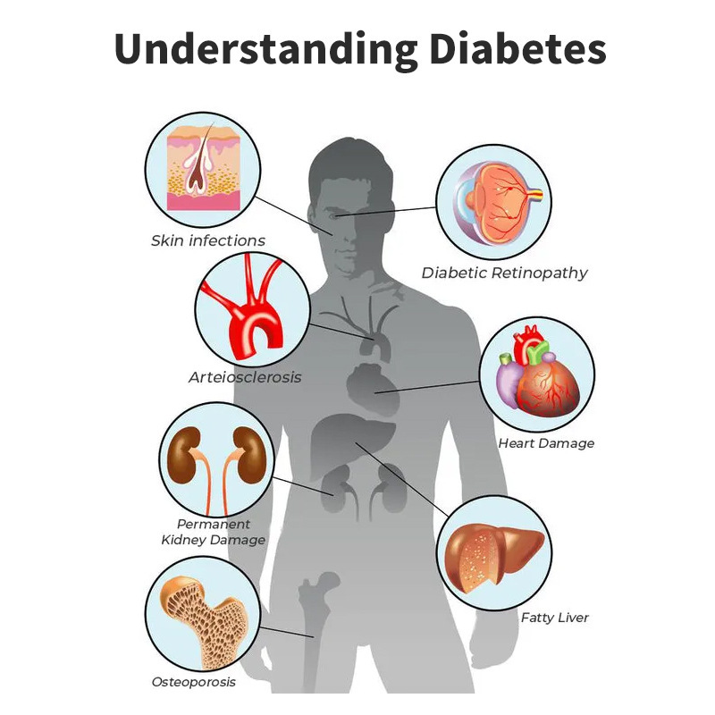 Body Care Drops Relieve Body Discomfort Balance Blood Lipids Sugar Shu Health Care DropsBlood Lipids Sugar Shu Health Care DropsBlood Lipids Sugar Shu Health Care DropsML Clinic  for Wellness